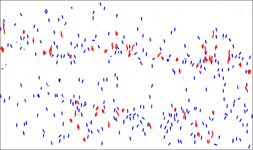 Technical 4 Object Sort